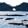 円月島、憩いの渚