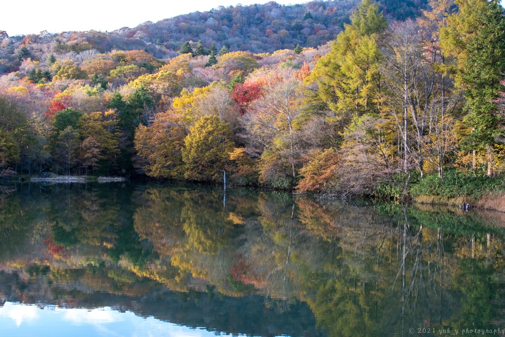 秋の色づき