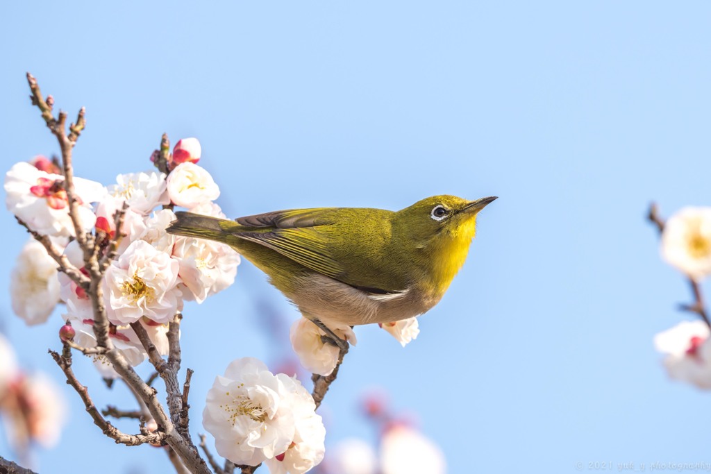 春の陽気