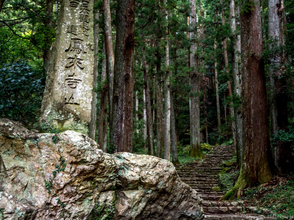 続くよ石段