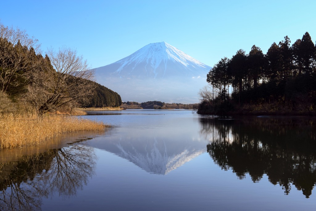 田貫湖からの富士