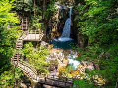新緑の滝