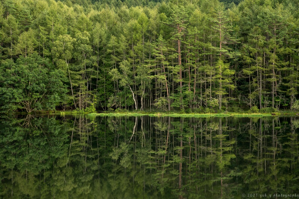 静水の池