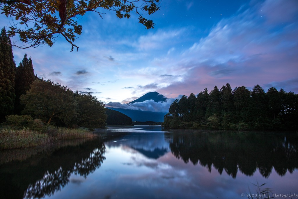 真夏の朝の夢