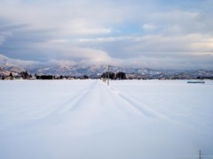 雪国の道