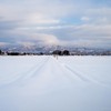 雪国の道