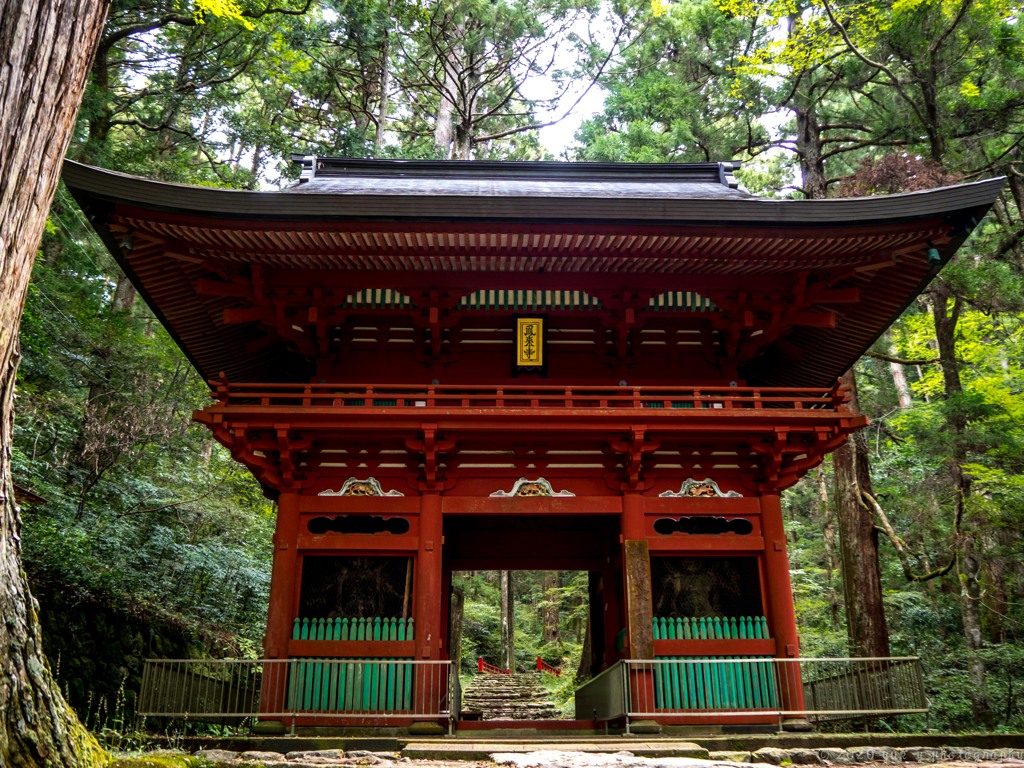 木立の中の仁王門