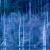 自然湖のほとり