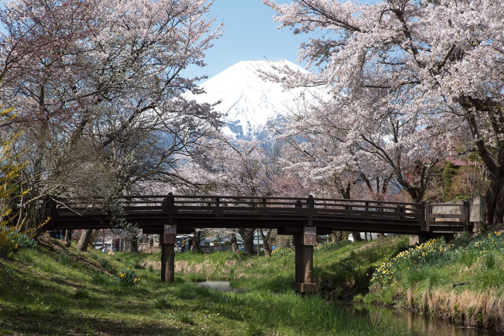 新名庄川から