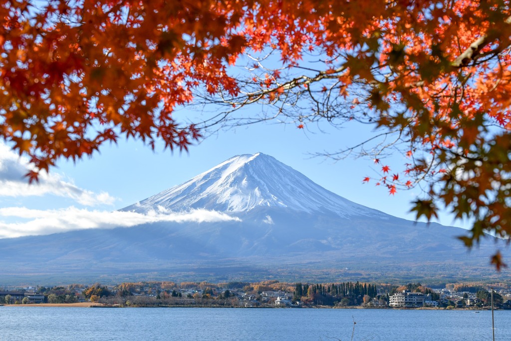 紅葉と富士