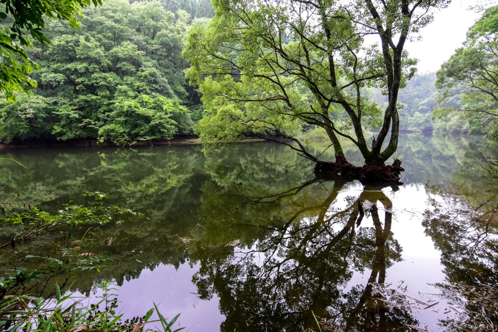 三河湖の水辺