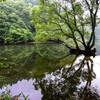 三河湖の水辺