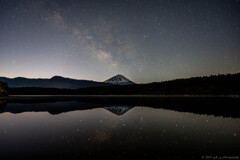 星降る夜
