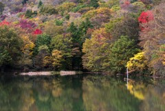 茶臼山の紅葉