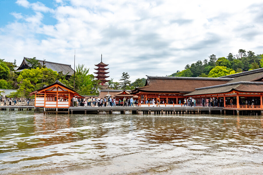 賑わいの厳島神社