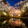 艶・サクラ