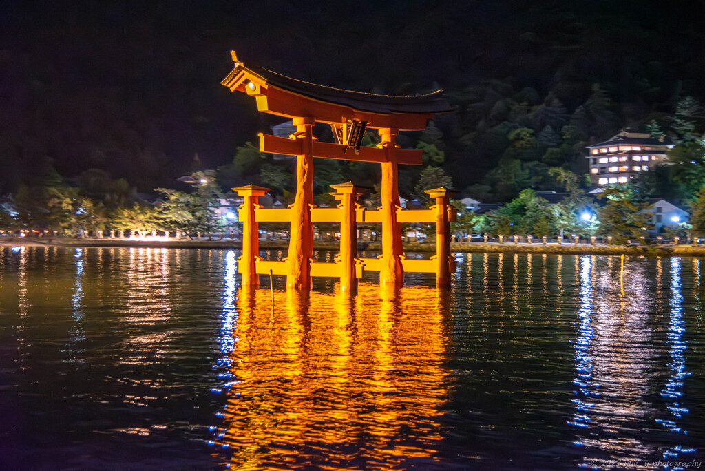 夜の大鳥居