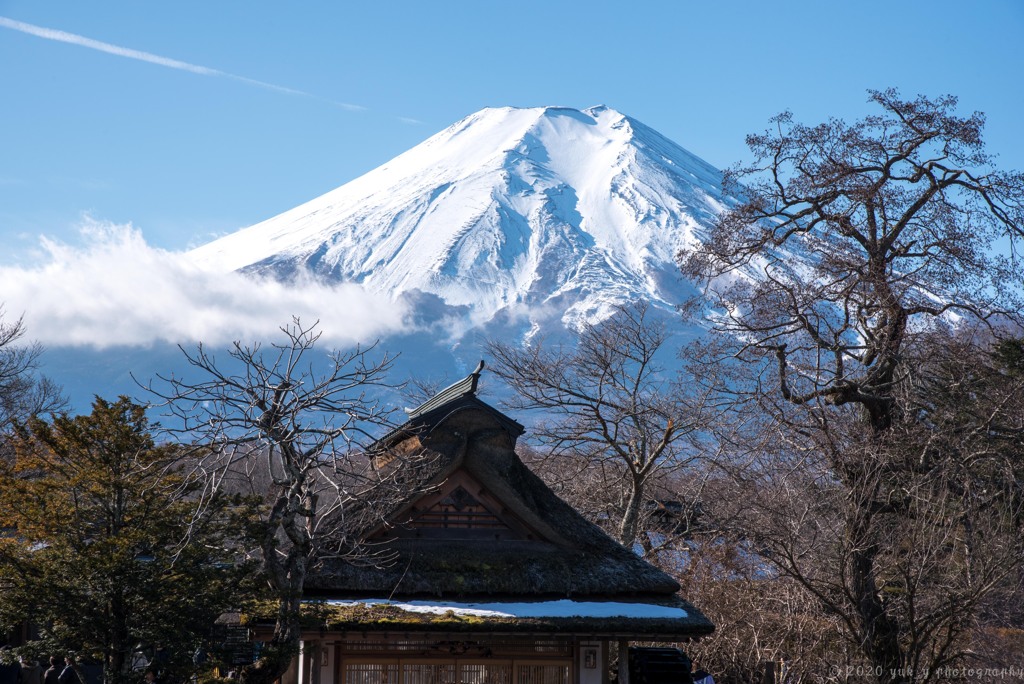 忍野からの富士