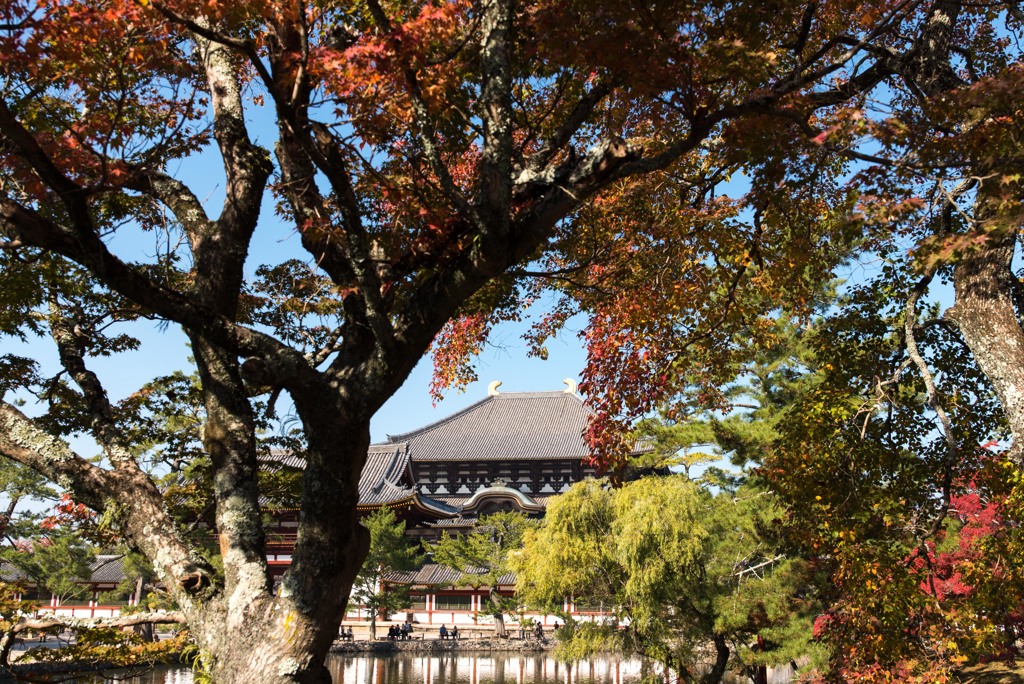 古都の紅葉