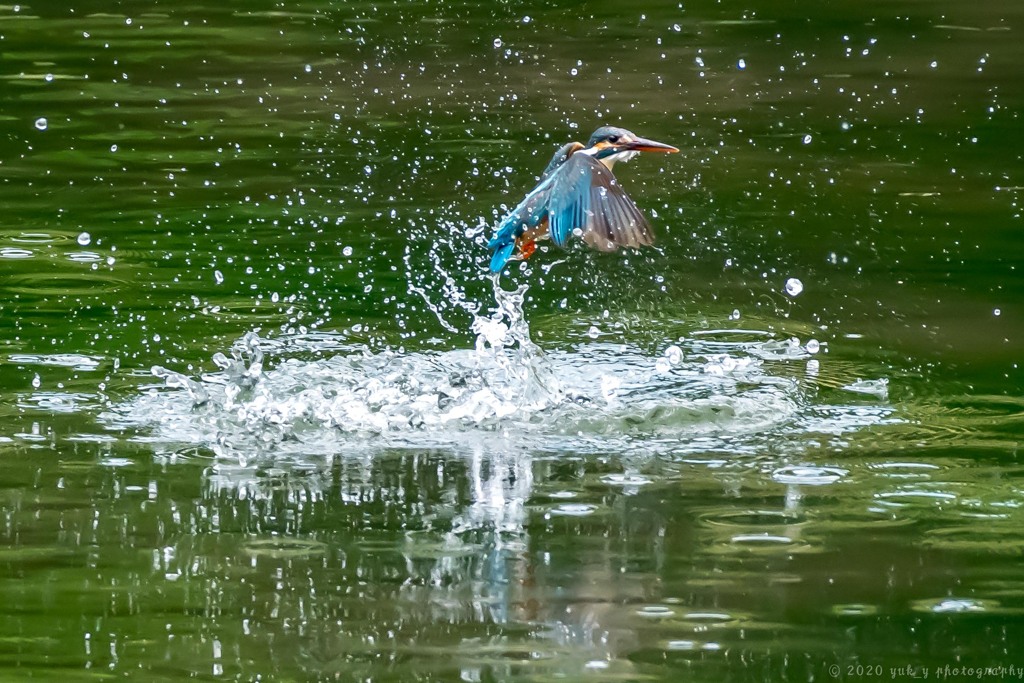 水飛沫