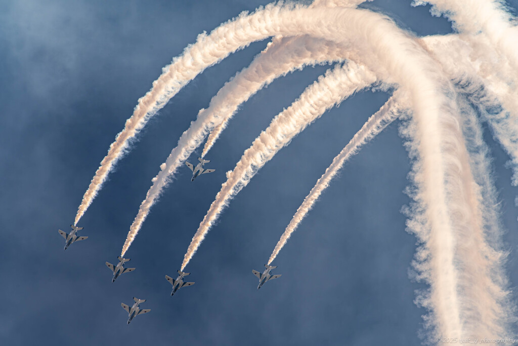 フェニックスが舞う