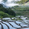 棚田の朝