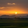燕から見た沈む夕陽