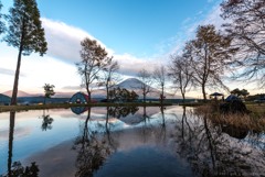 池からの眺め