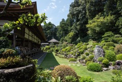 龍潭寺の庭園