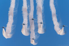 ブルーのフェニックス