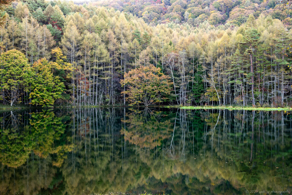 初秋の御謝鹿池