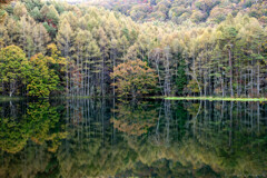 初秋の御謝鹿池