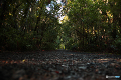 這いつくばって