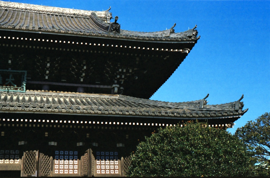 元旦
