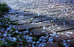 petal load