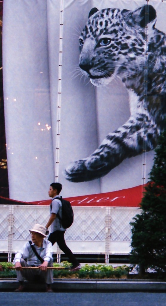 Ginza street photography　7