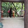 T⑥