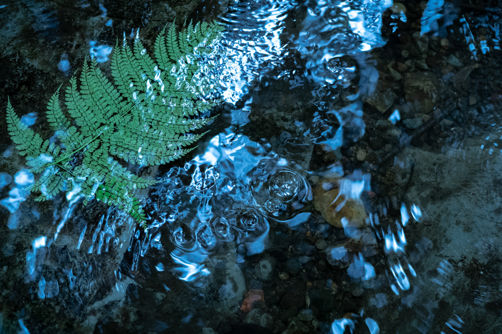 涼水