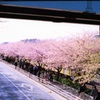 三浦⑥