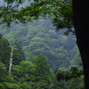 12年振りの大山⑧