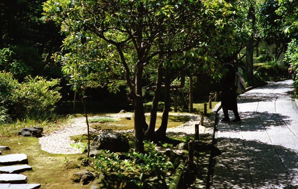 鎌倉 35mm　①