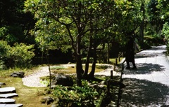 鎌倉 35mm　①