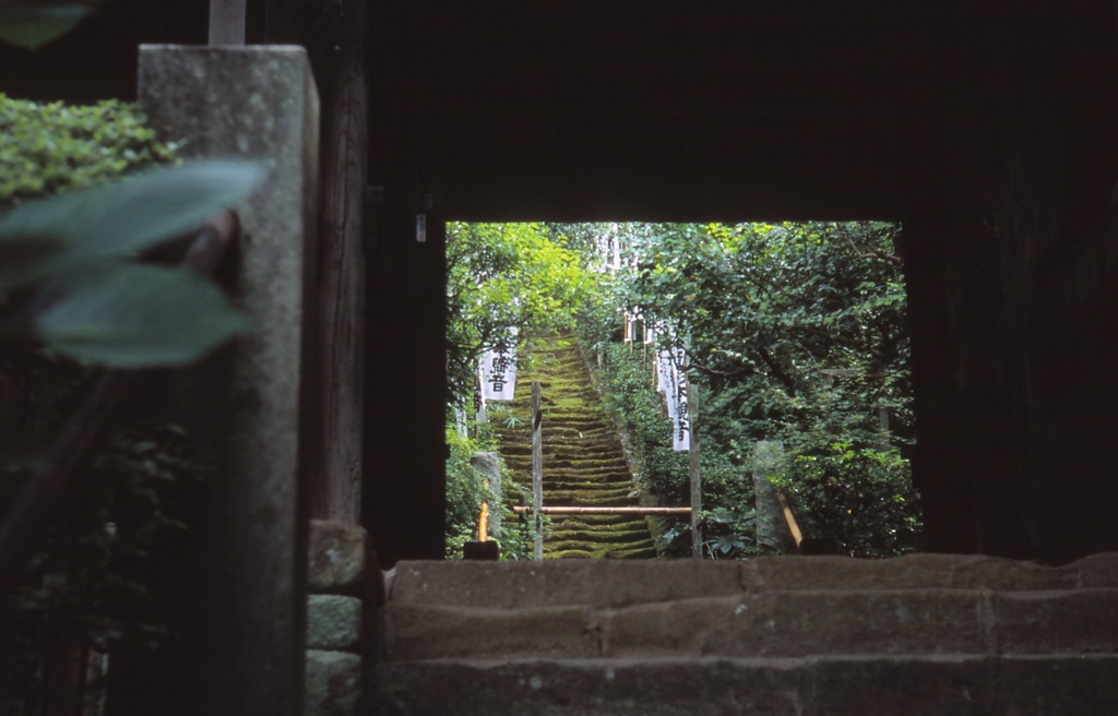 鎌倉３５ｍｍ　⑪
