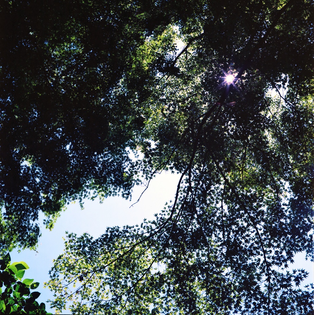 鎌倉 6×6　④