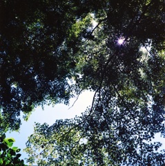 鎌倉 6×6　④