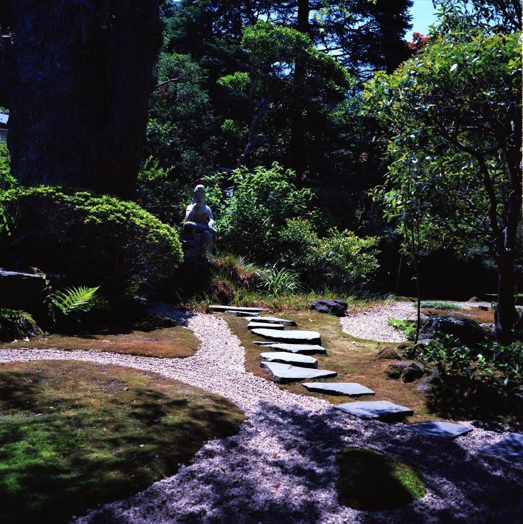 鎌倉 6×6　①