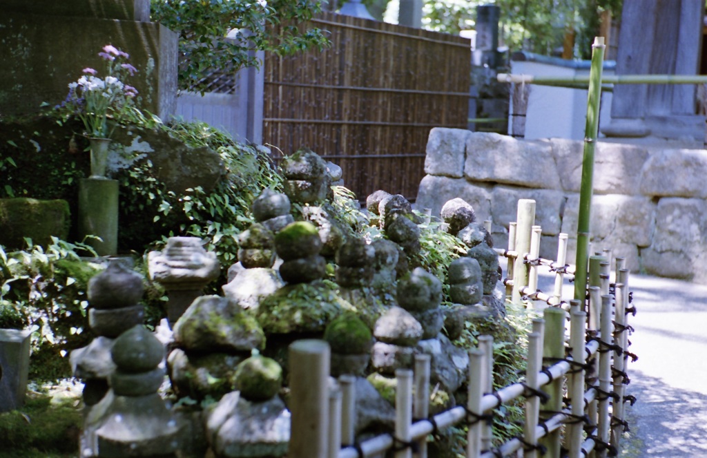 鎌倉 35mm　②