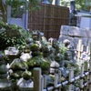 鎌倉 35mm　②