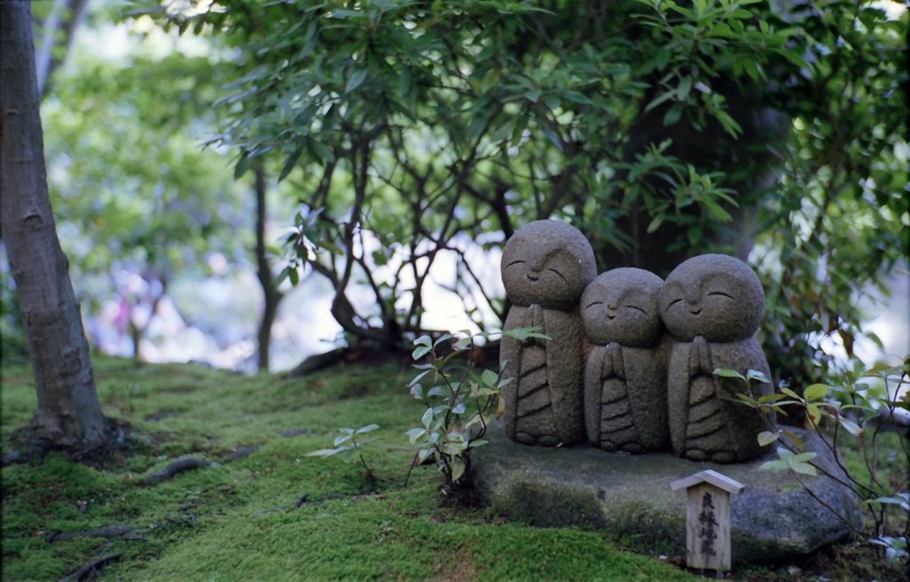 鎌倉 35mm　⑧