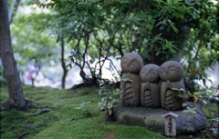 鎌倉 35mm　⑧